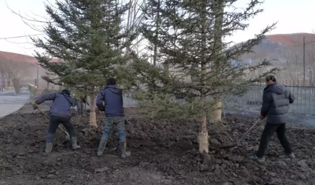 640.webp (1).jpg 640.webp (1).jpg